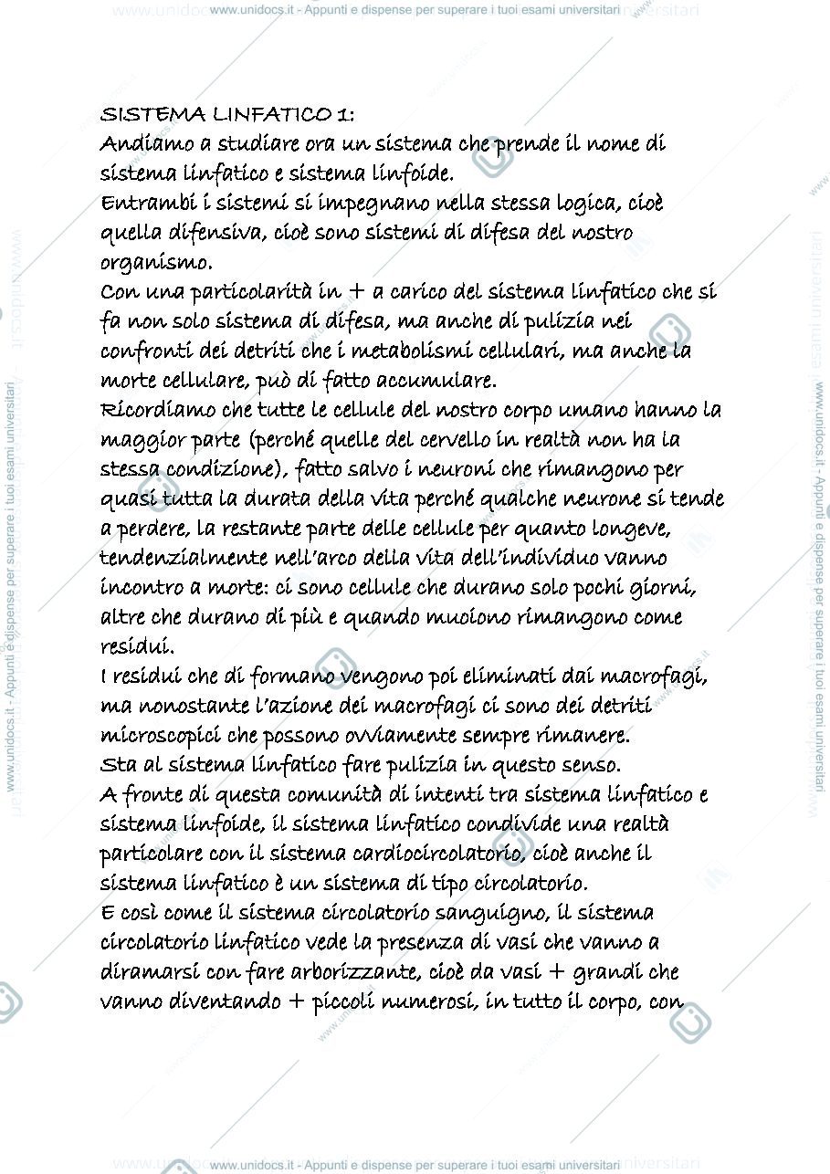 Anteprima pagina 1 — linfatico