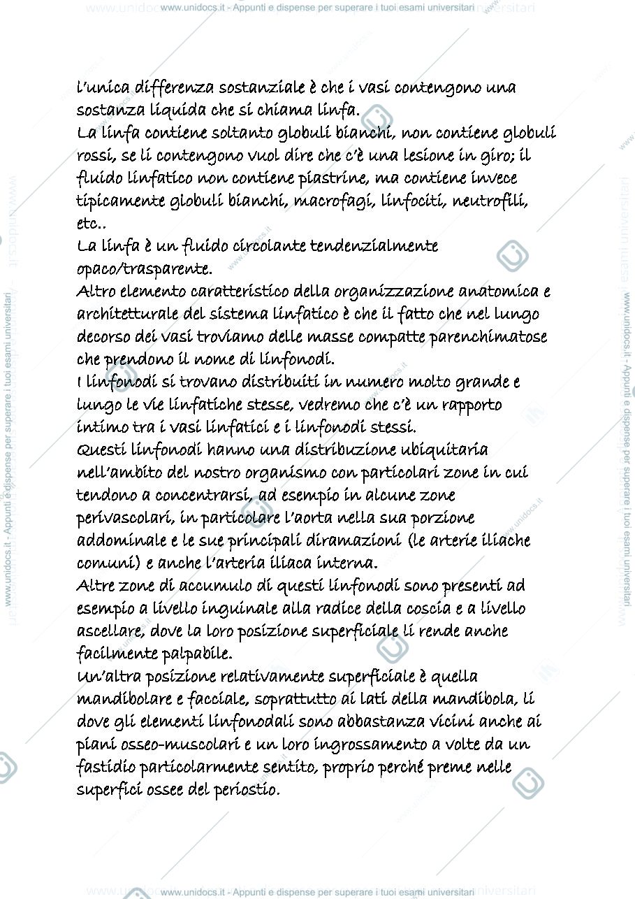Anteprima pagina 2 — linfatico