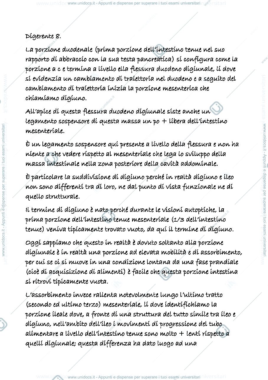 Anteprima pagina 1 — digerente 8