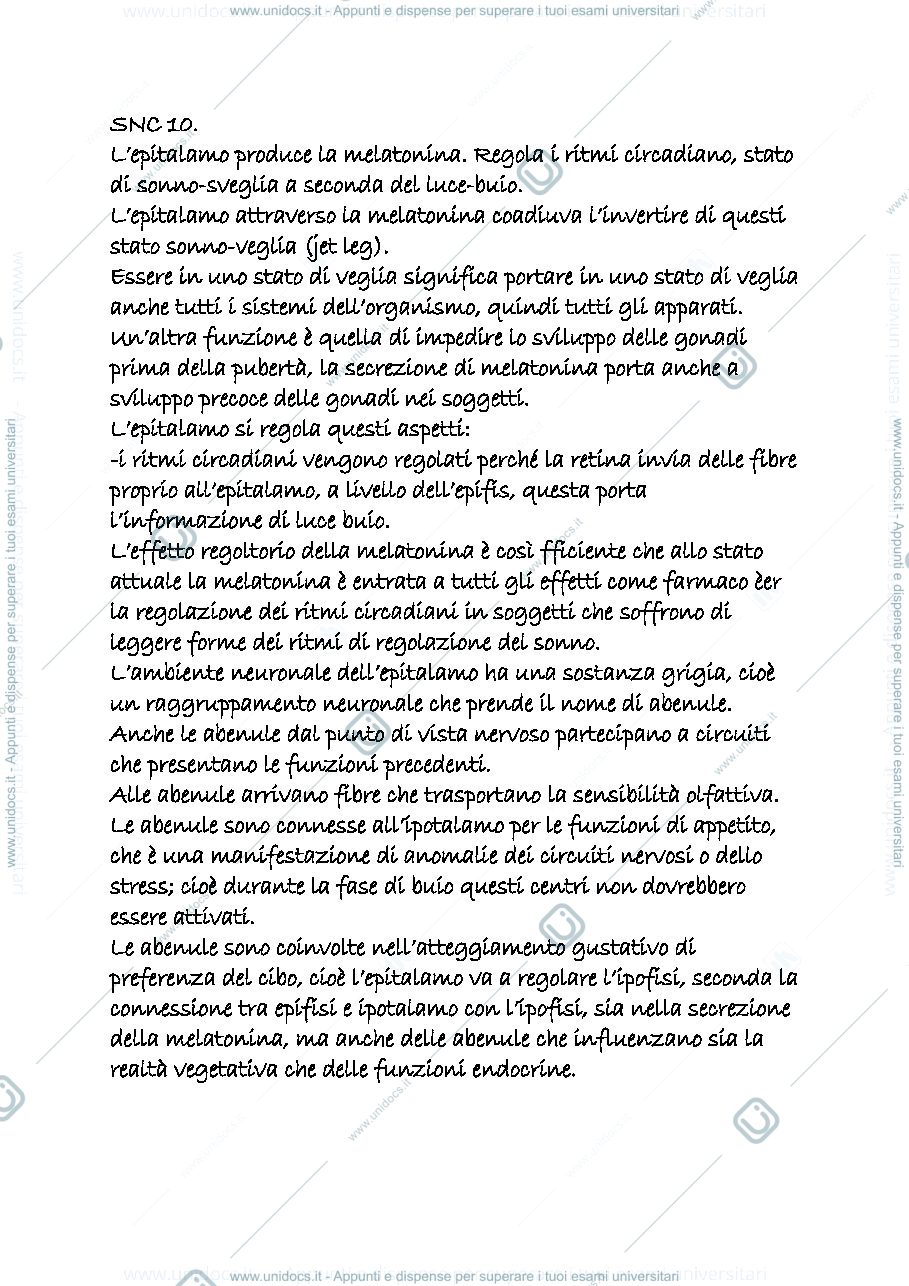 Anteprima pagina 1 — snc10