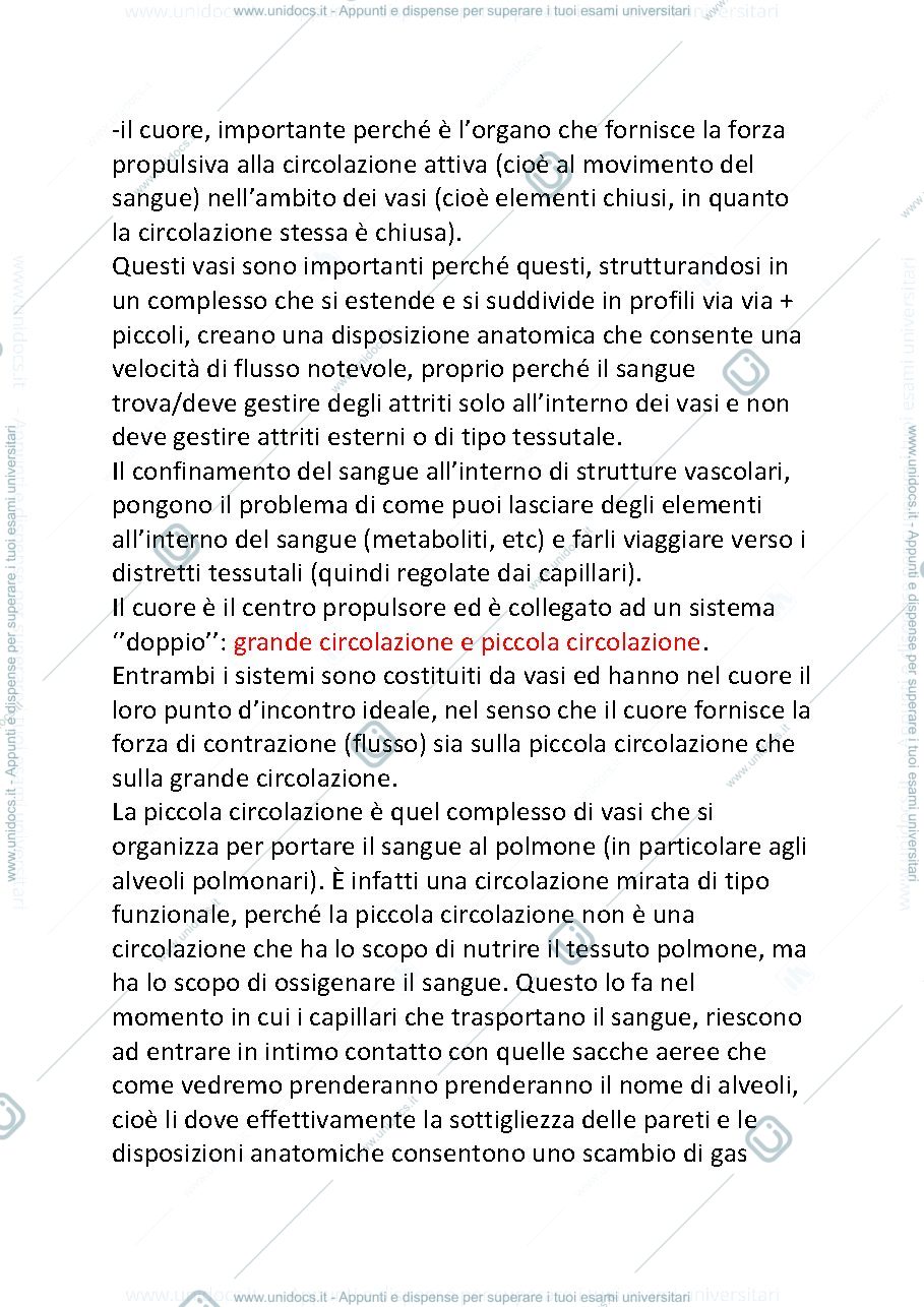 Anteprima pagina 2 — cardiocircolatorio