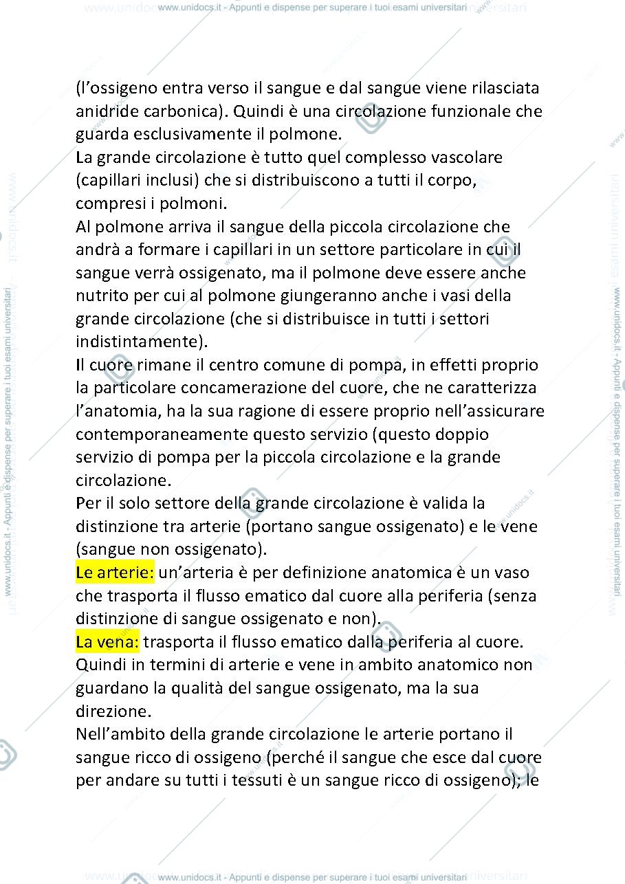 Anteprima pagina 3 — cardiocircolatorio