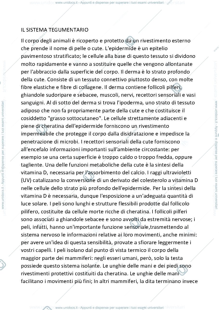 Anteprima pagina 1 — IL SISTEMA TEGUMENTARIO 