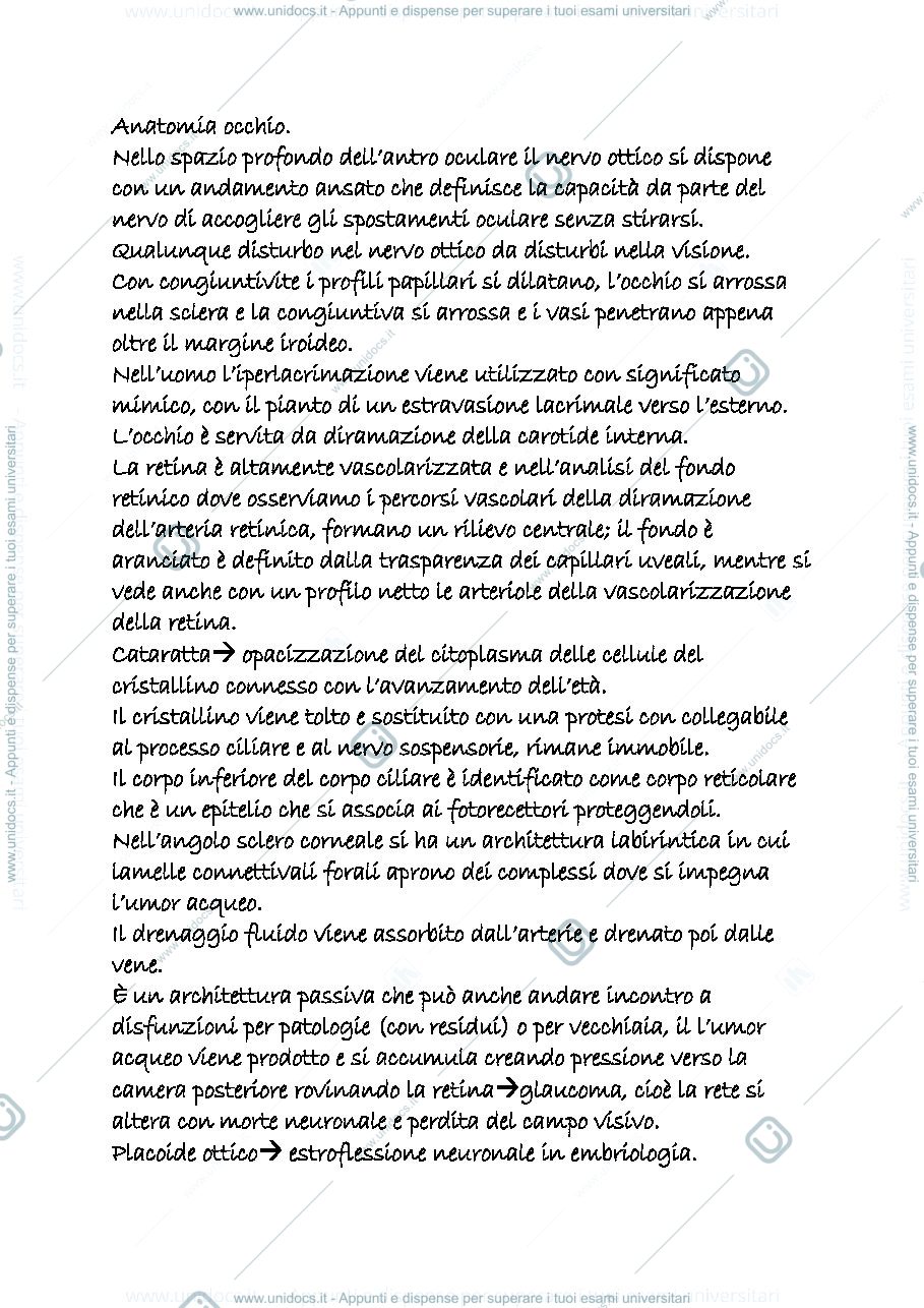 Anteprima pagina 1 — occhio