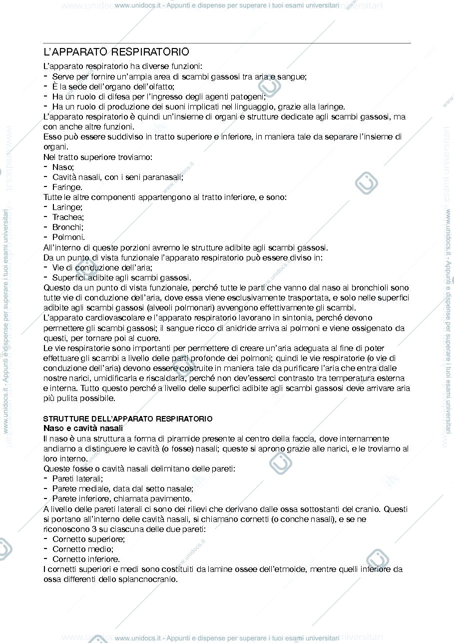 Anteprima pagina 1 — Apparato Respiratorio