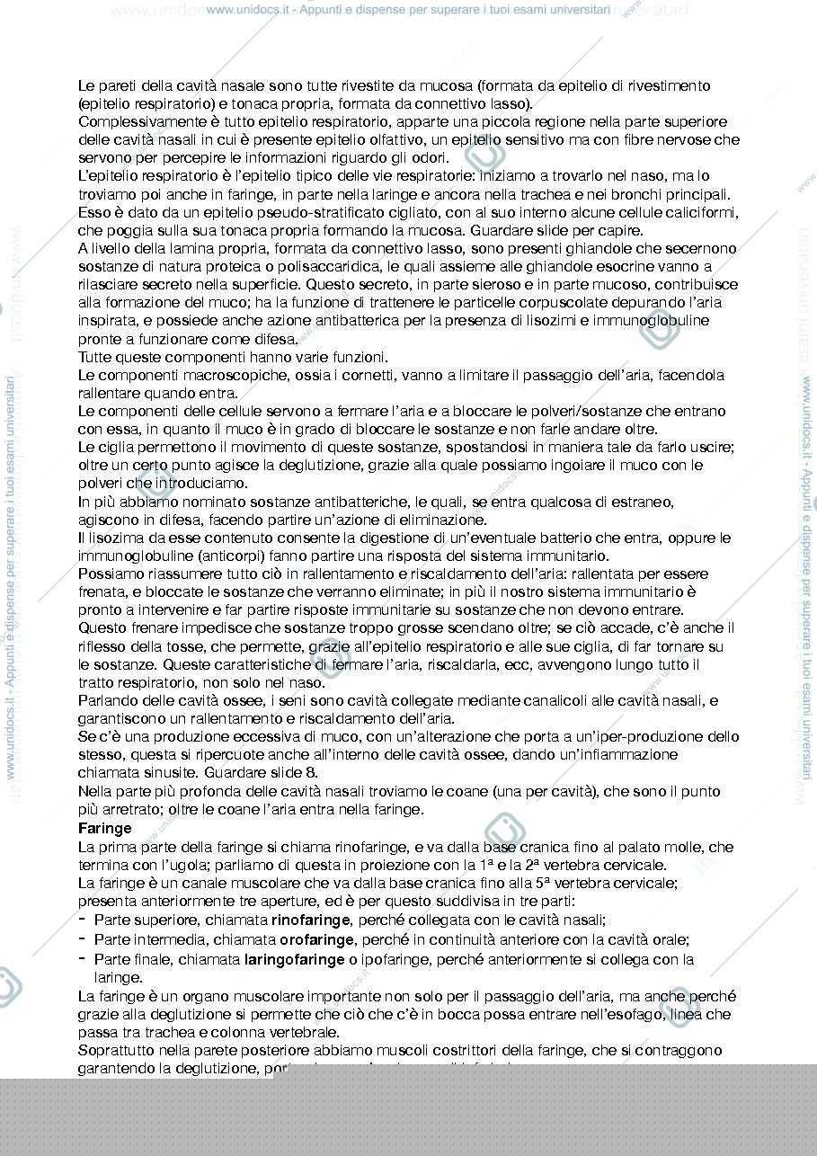 Anteprima pagina 2 — Apparato Respiratorio