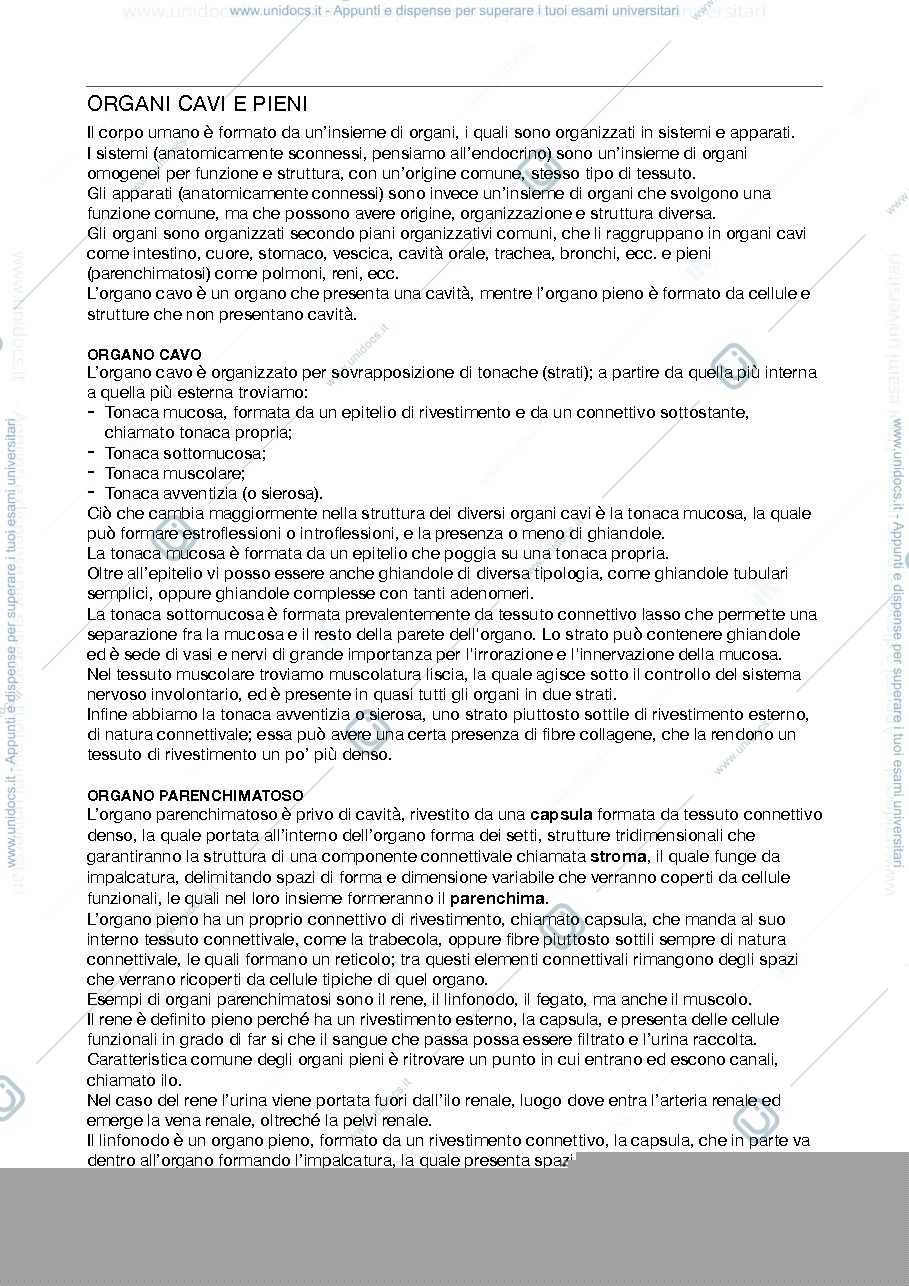 Anteprima pagina 1 — Organi cavi e pieni