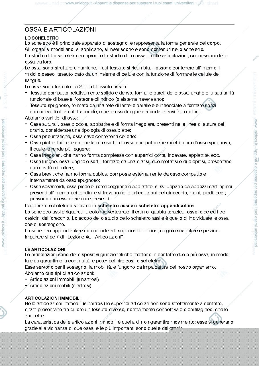 Anteprima pagina 1 — Ossa e articolazioni