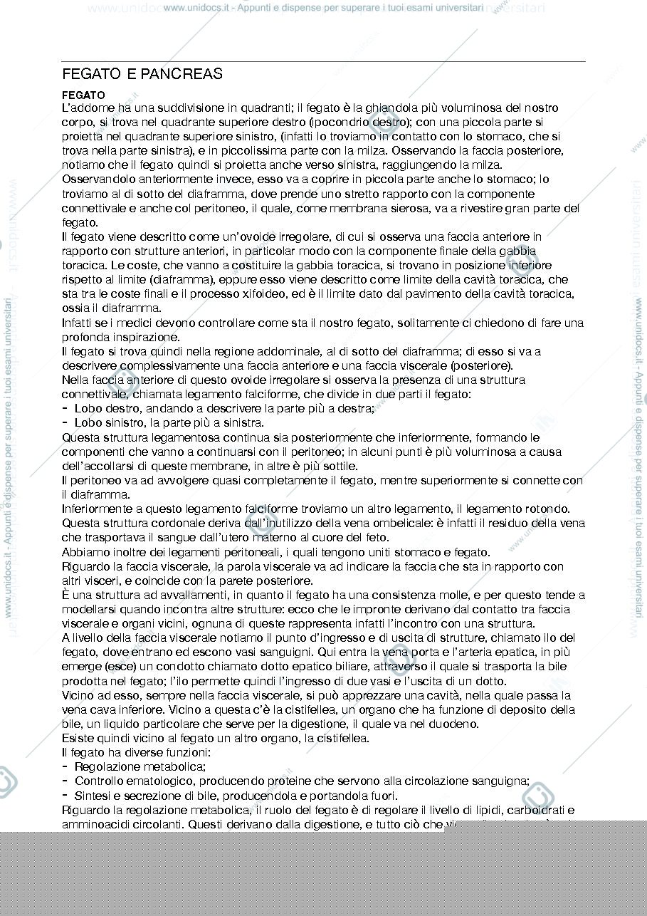 Anteprima pagina 1 — Fegato e Pancreas