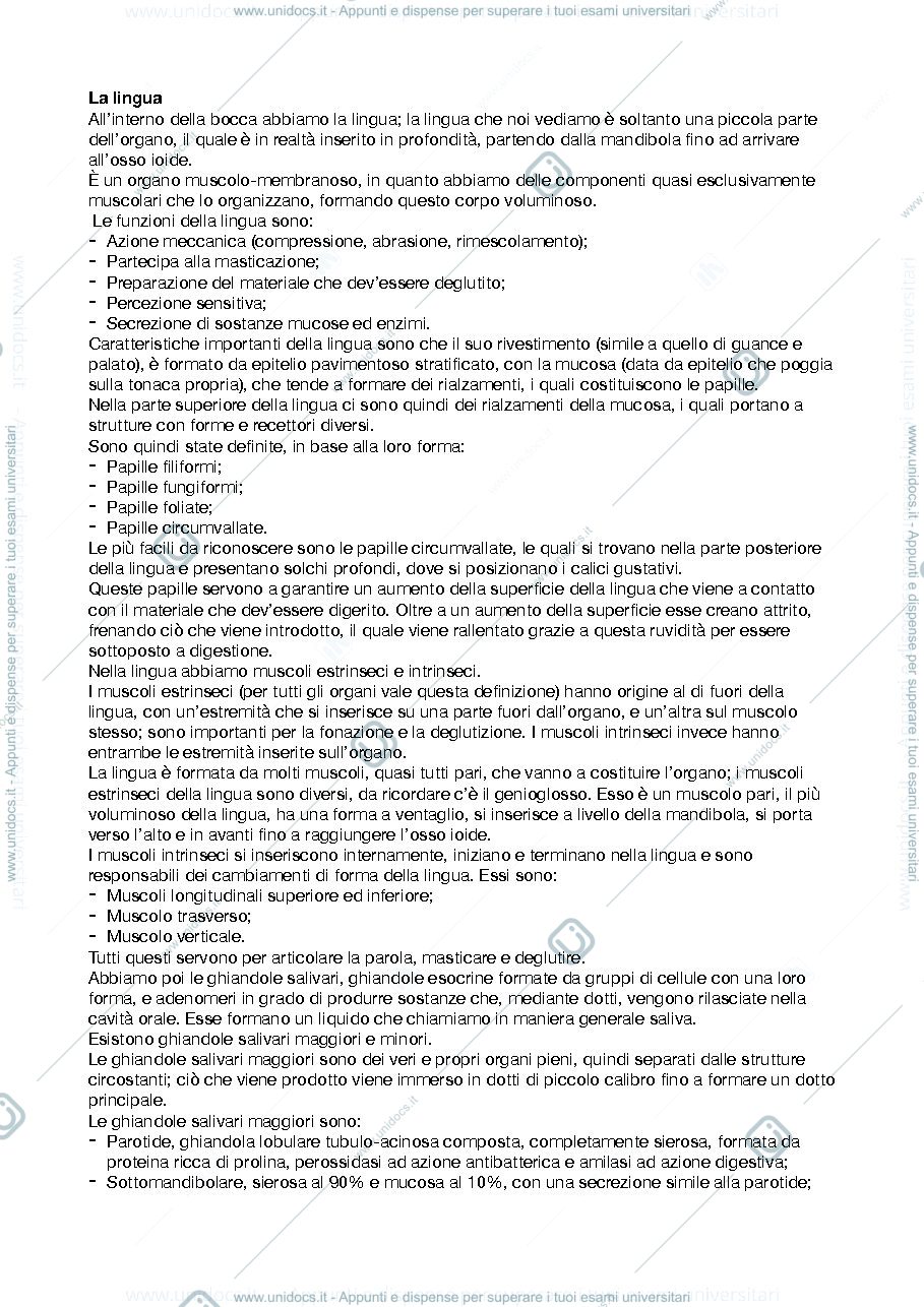 Anteprima pagina 2 — Apparato Digerente