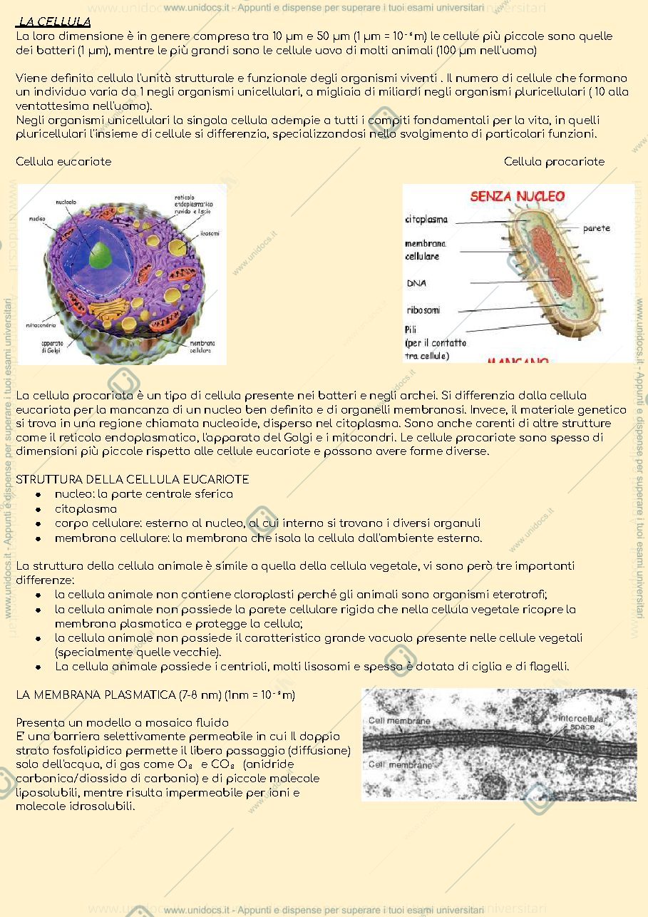 Anteprima pagina 1 — Appunti di citologia per il primo anno