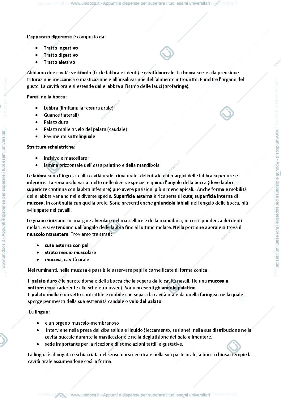 Anteprima pagina 1 — Anatomia animale sistema digerente