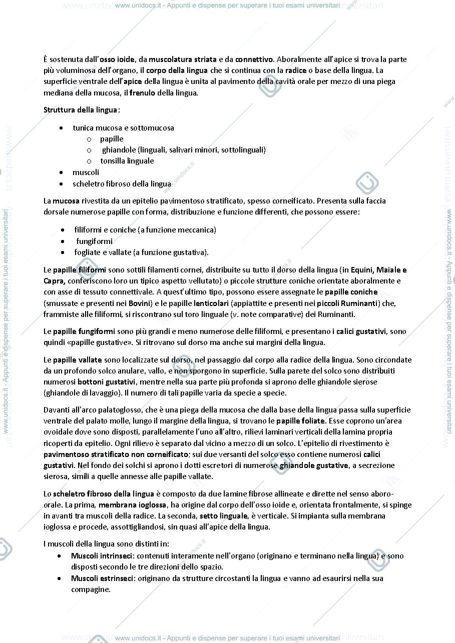 Anteprima pagina 2 — Anatomia animale sistema digerente