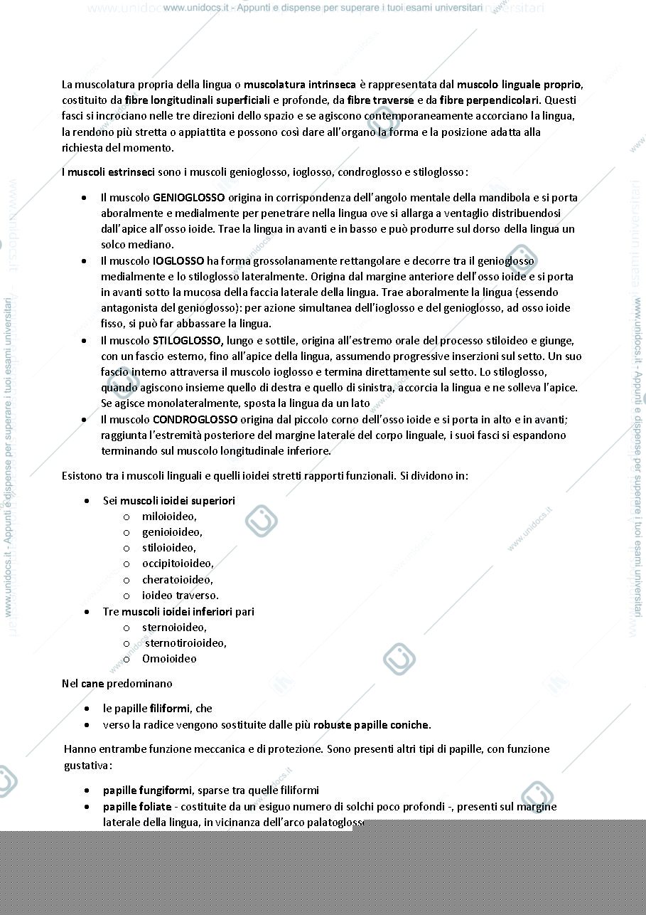 Anteprima pagina 3 — Anatomia animale sistema digerente