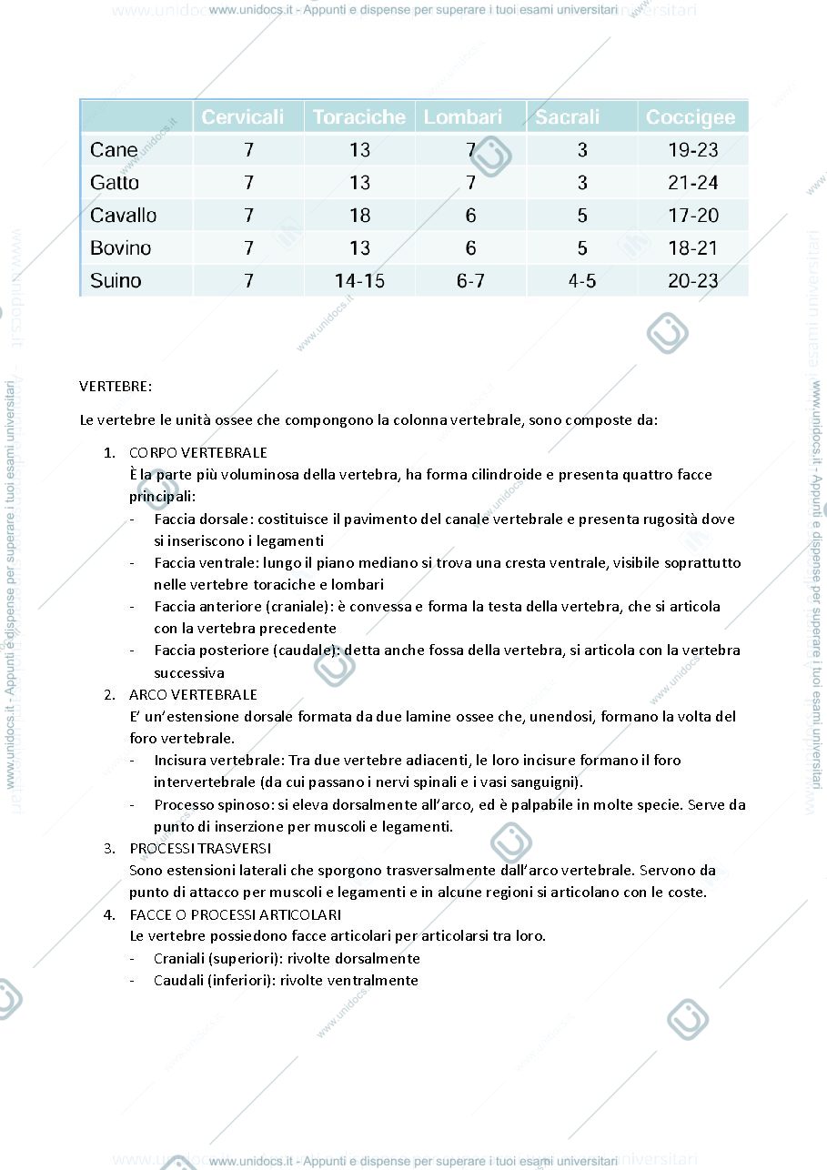 Anteprima pagina 2 — anatomia sistematica e comparata