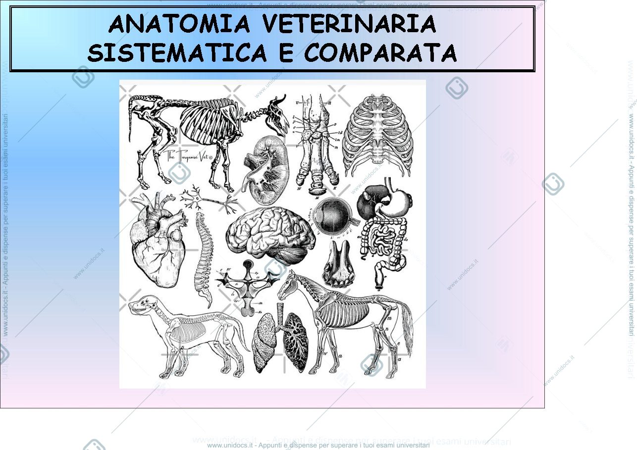 Anteprima pagina 1 — ANATOMIA VETERINARIA