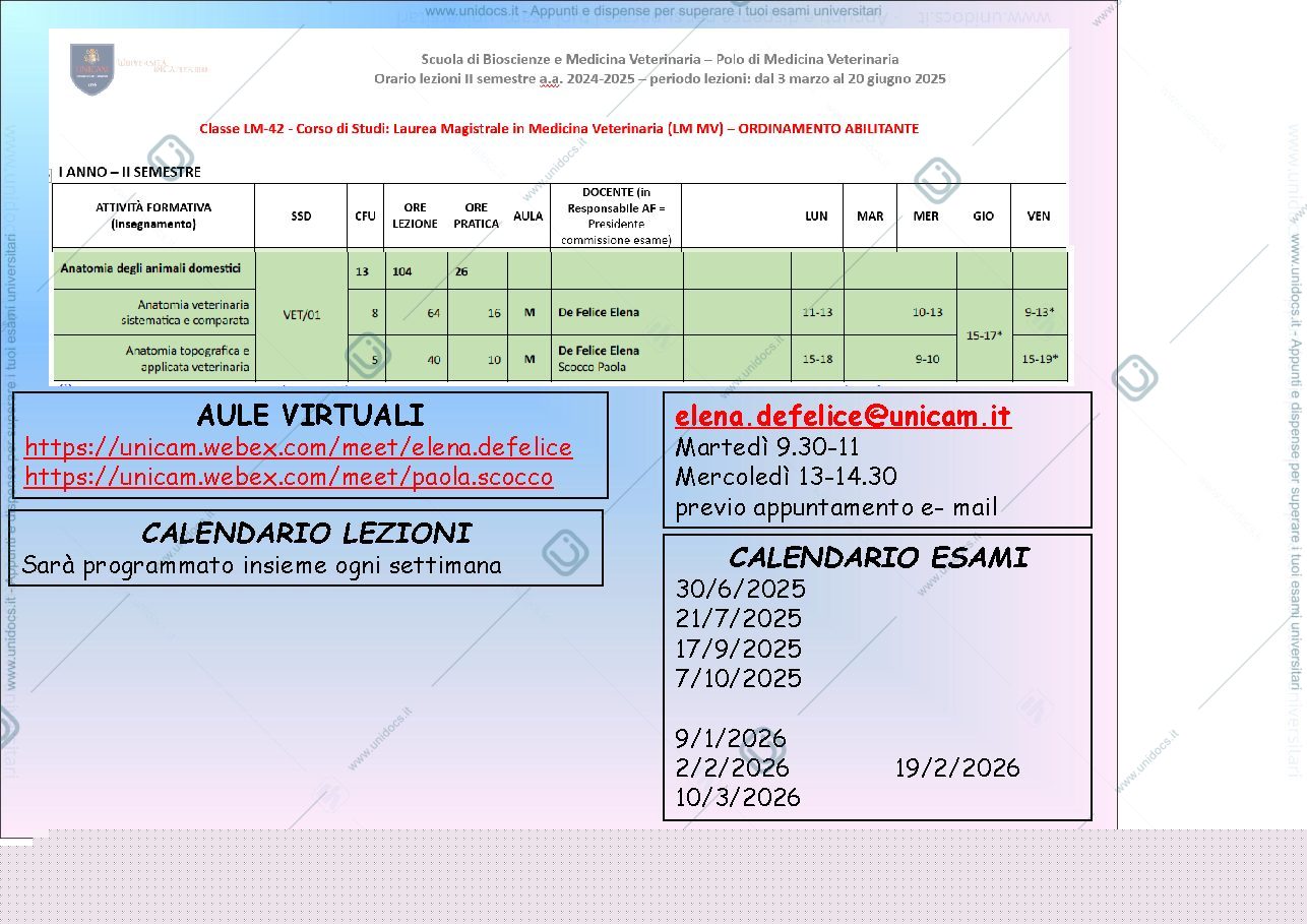 Anteprima pagina 3 — ANATOMIA VETERINARIA