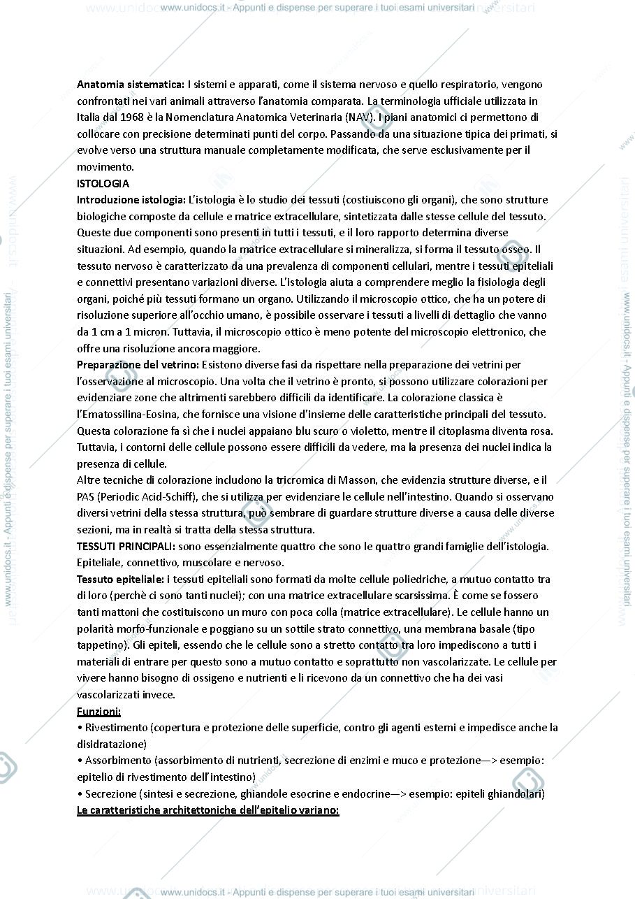 Anteprima pagina 1 — Anatomia I