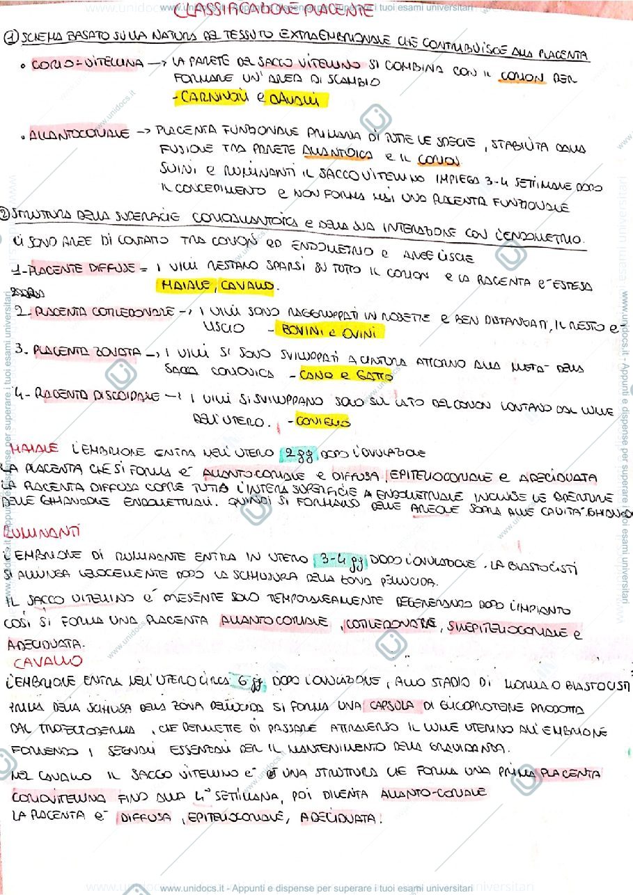 Anteprima pagina 1 — Embriologia 