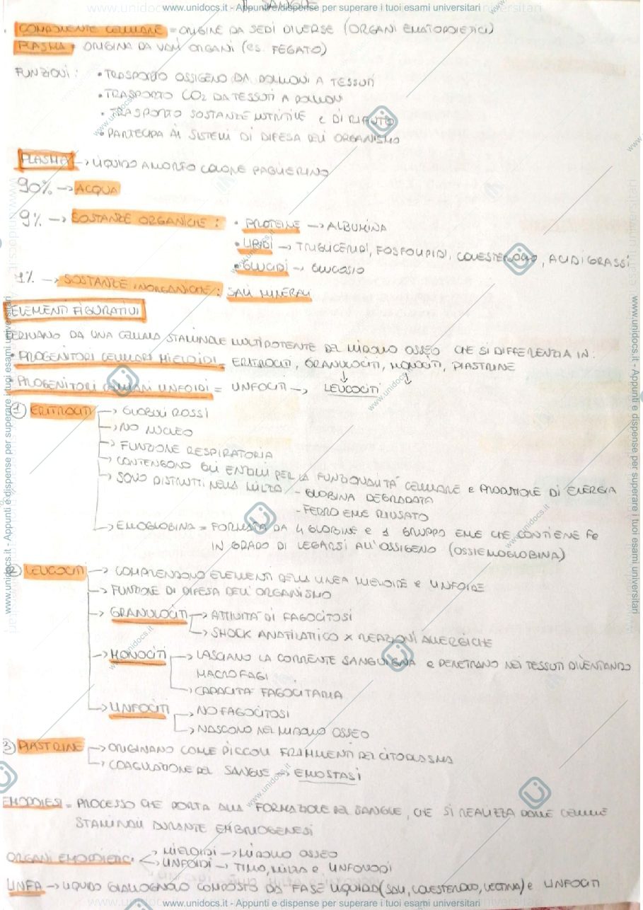 Anteprima pagina 1 — Apparato cardiocircolatorio 