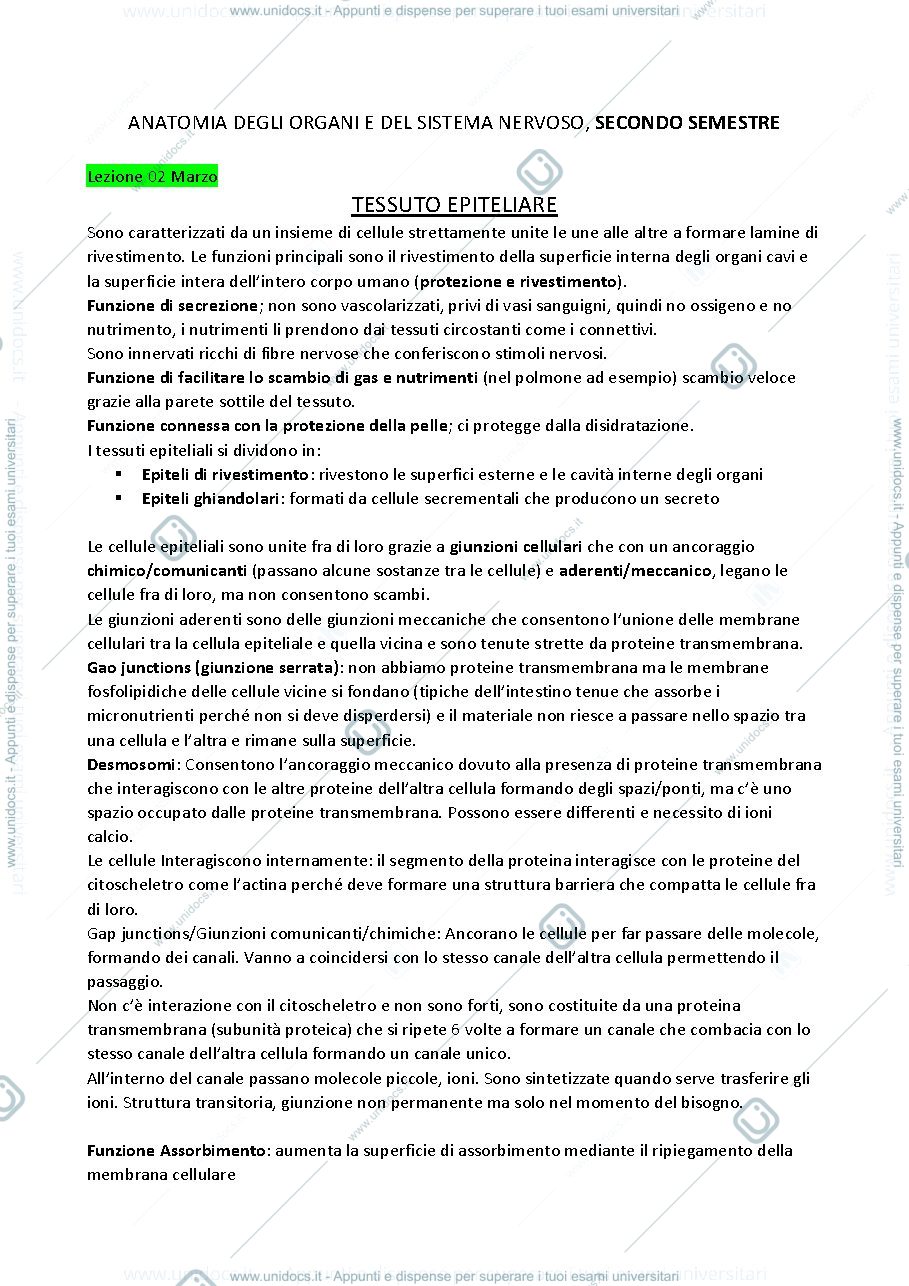 Anteprima pagina 1 — Anatomia 2