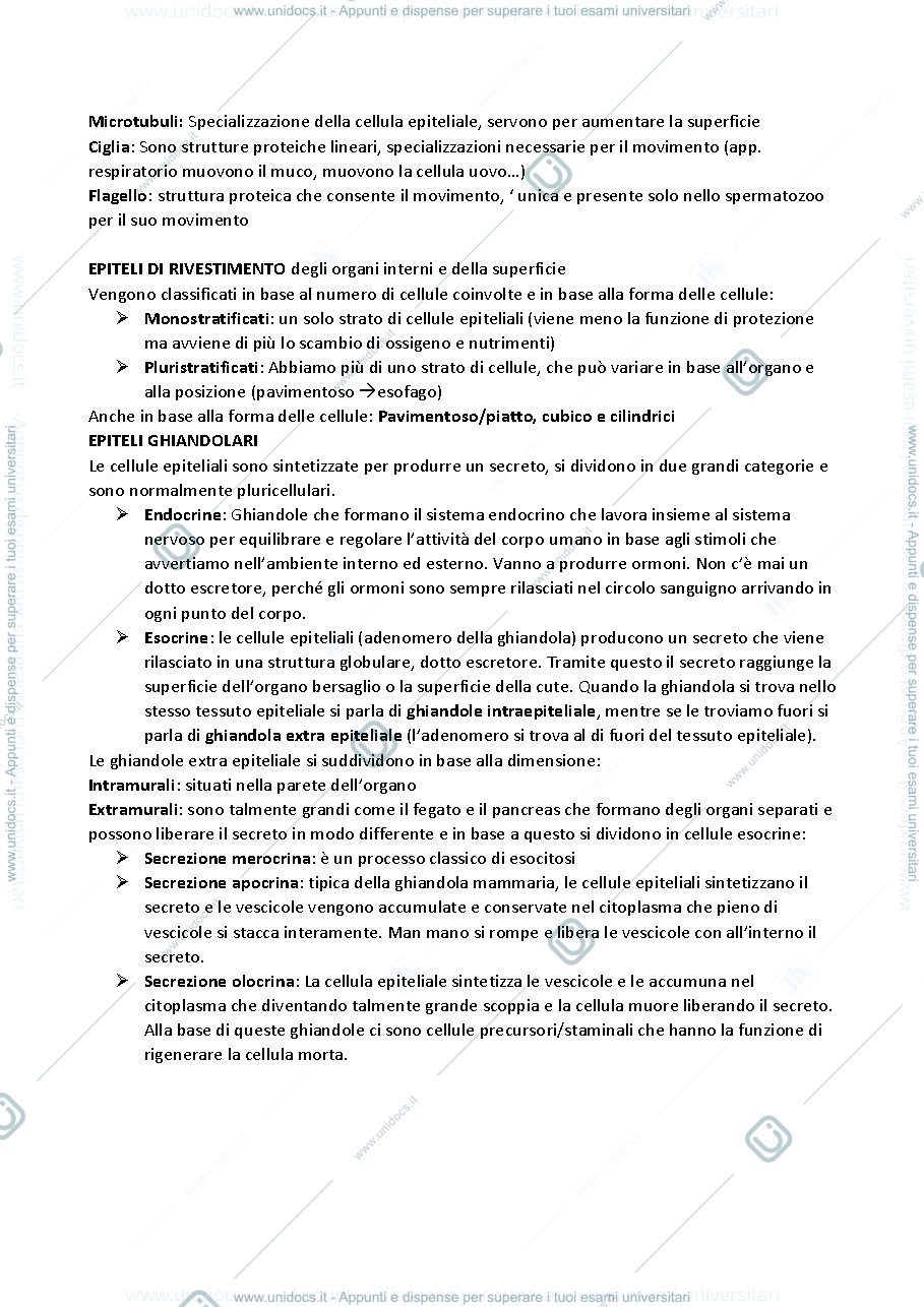 Anteprima pagina 2 — Anatomia 2