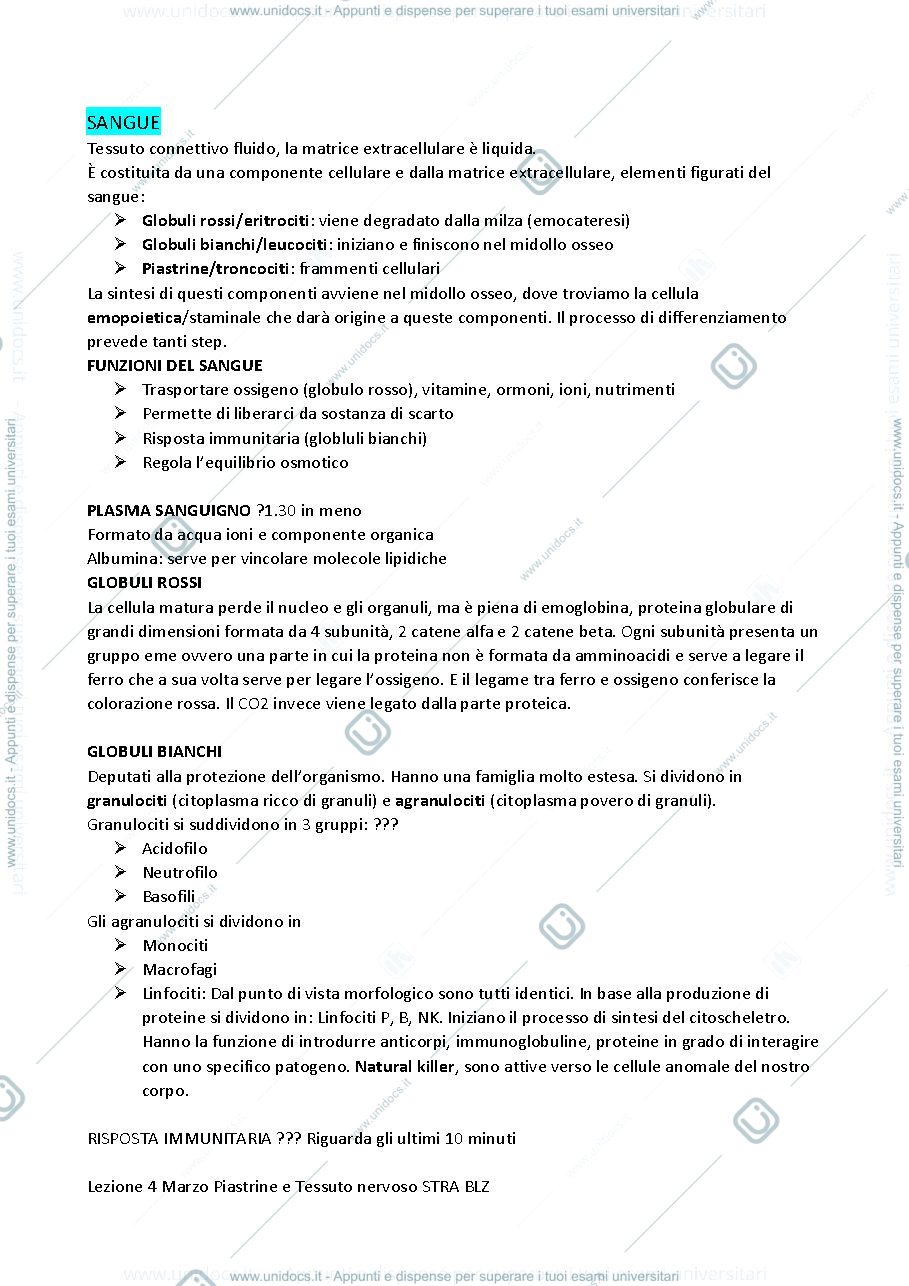 Anteprima pagina 3 — Anatomia 2