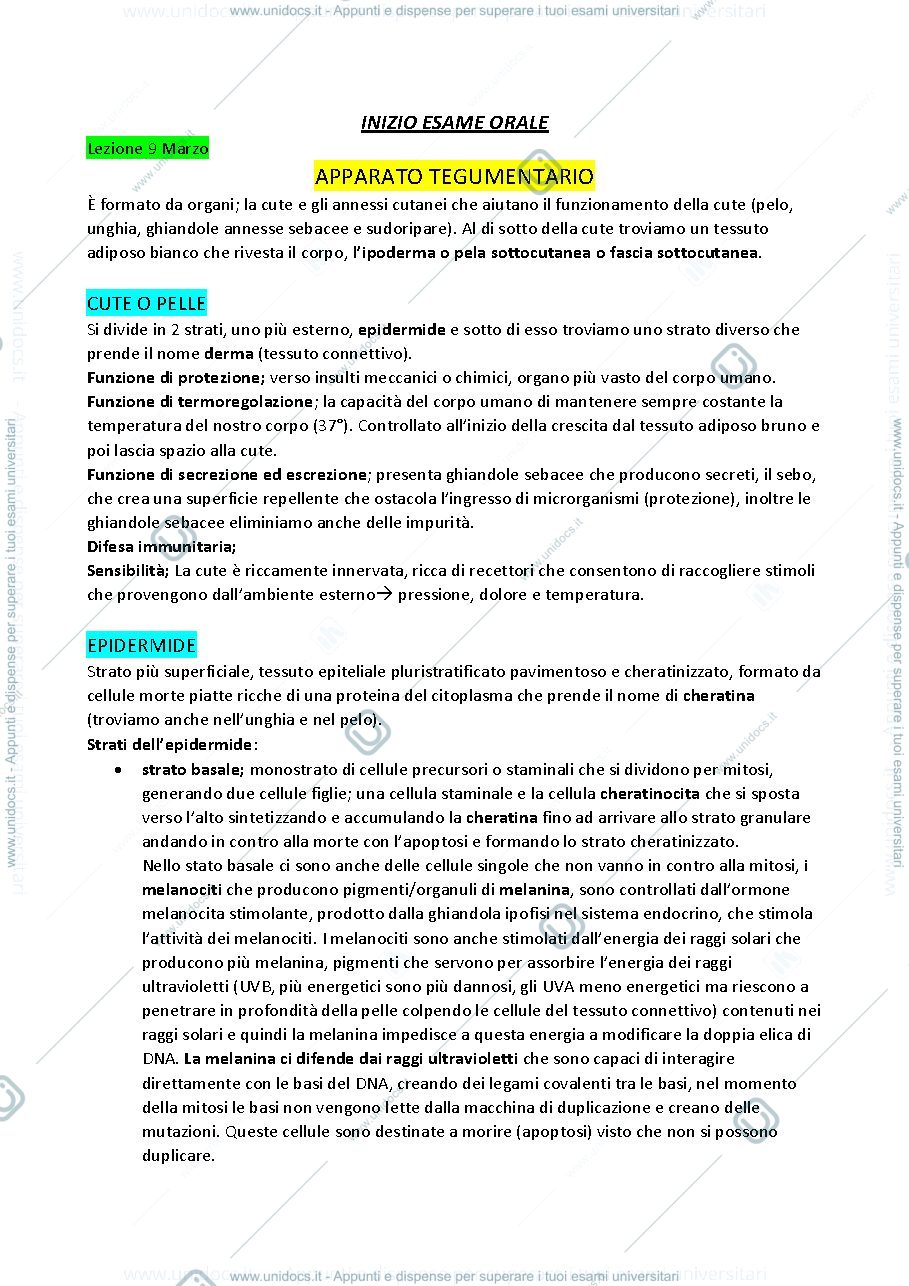 Anteprima pagina 4 — Anatomia 2