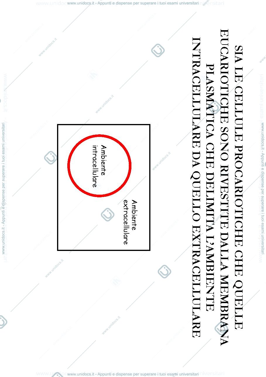 Anteprima pagina 1 — slide biologia 