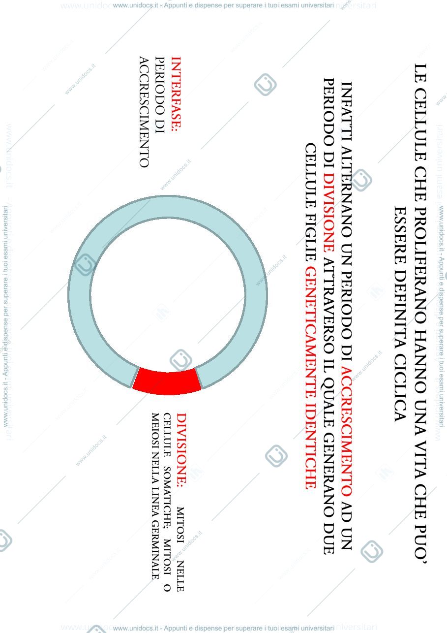 Anteprima pagina 1 — biologia 1 anno