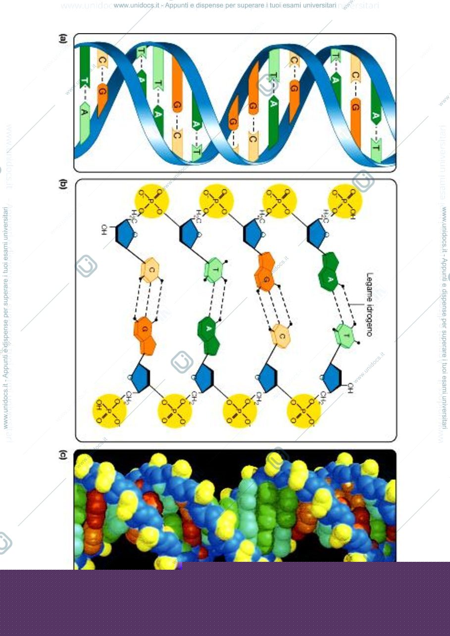 Anteprima pagina 3 — biologia 1 anno