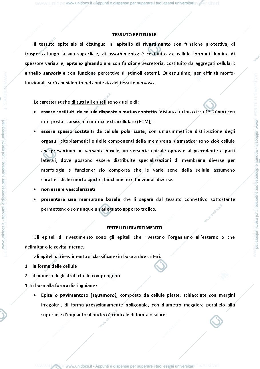 Anteprima pagina 1 — appunti istologia