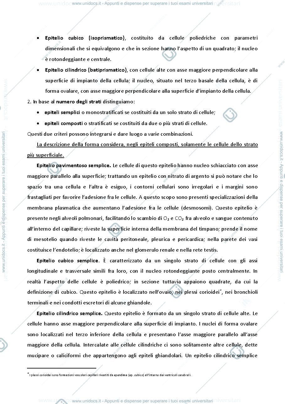 Anteprima pagina 2 — appunti istologia