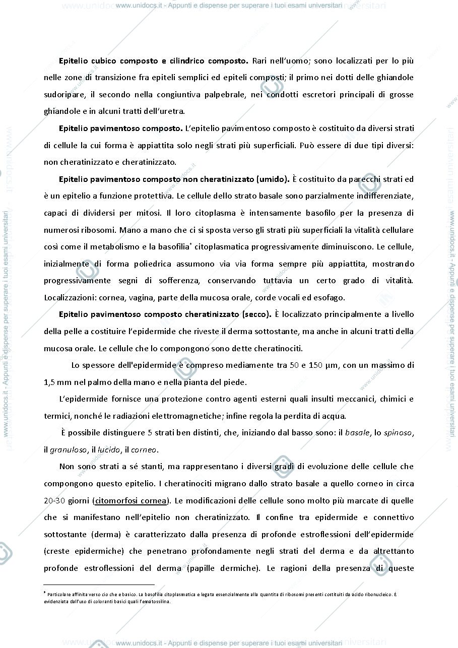 Anteprima pagina 4 — appunti istologia