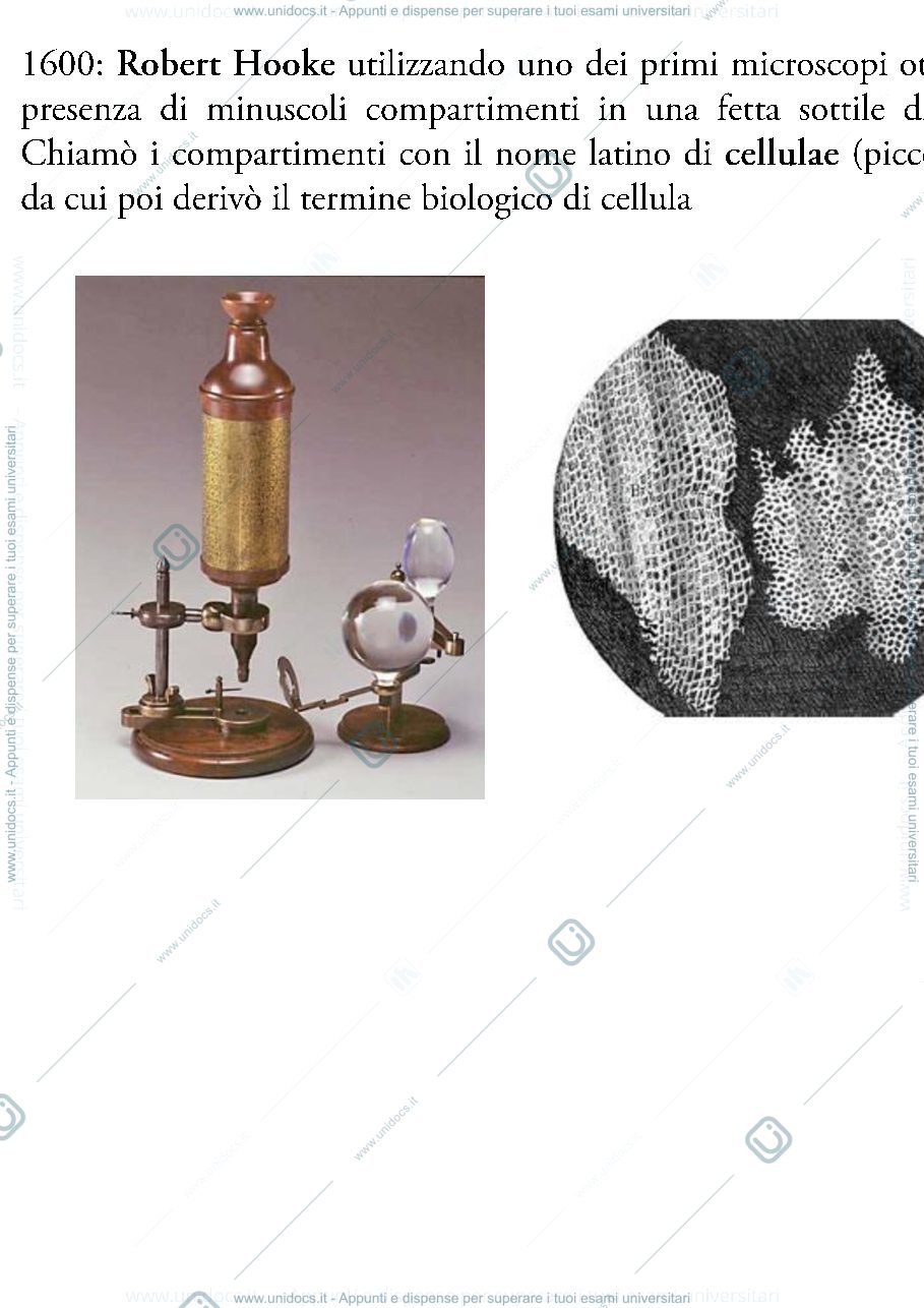 Anteprima pagina 1 — biologia 1 anno