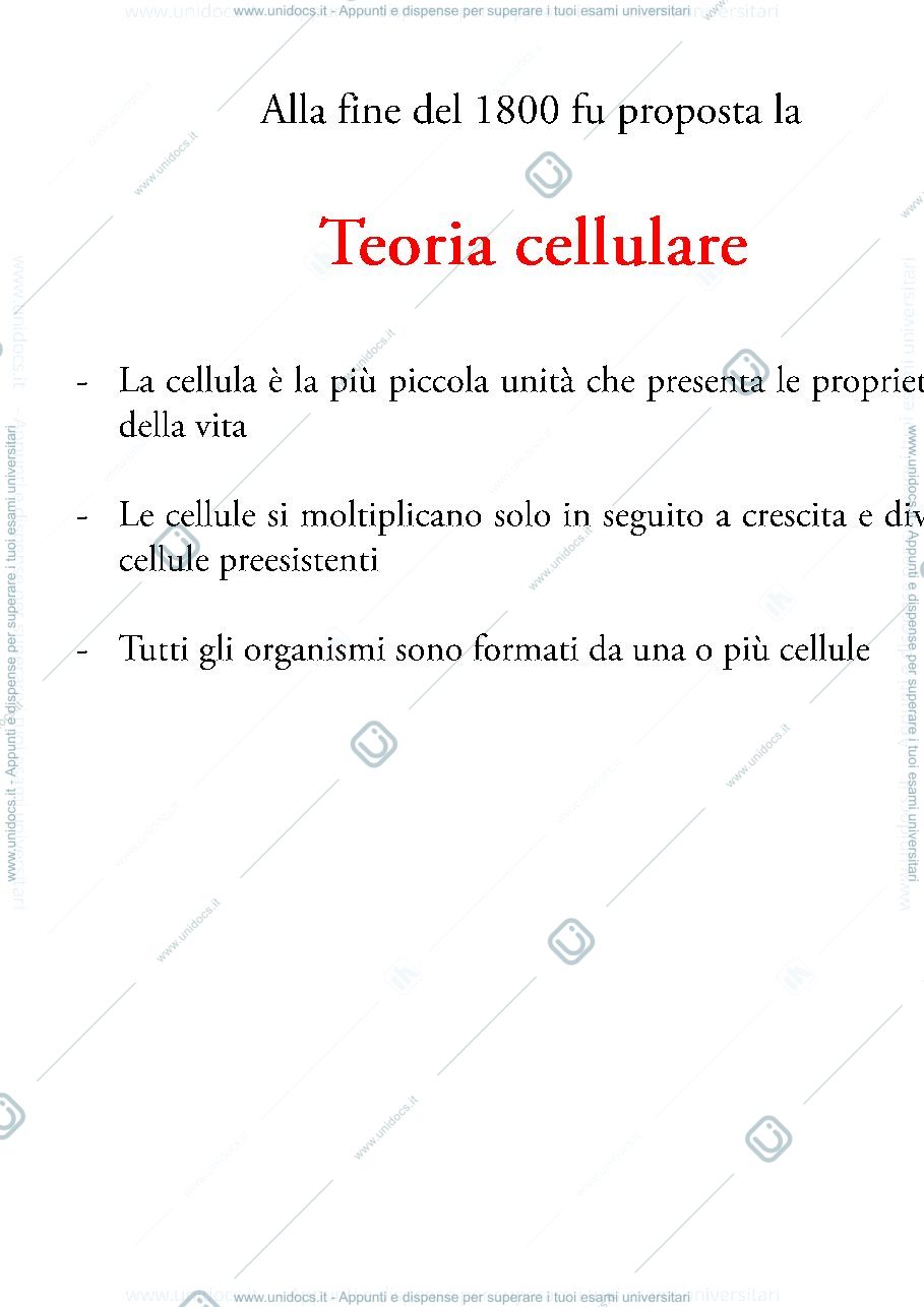 Anteprima pagina 2 — biologia 1 anno