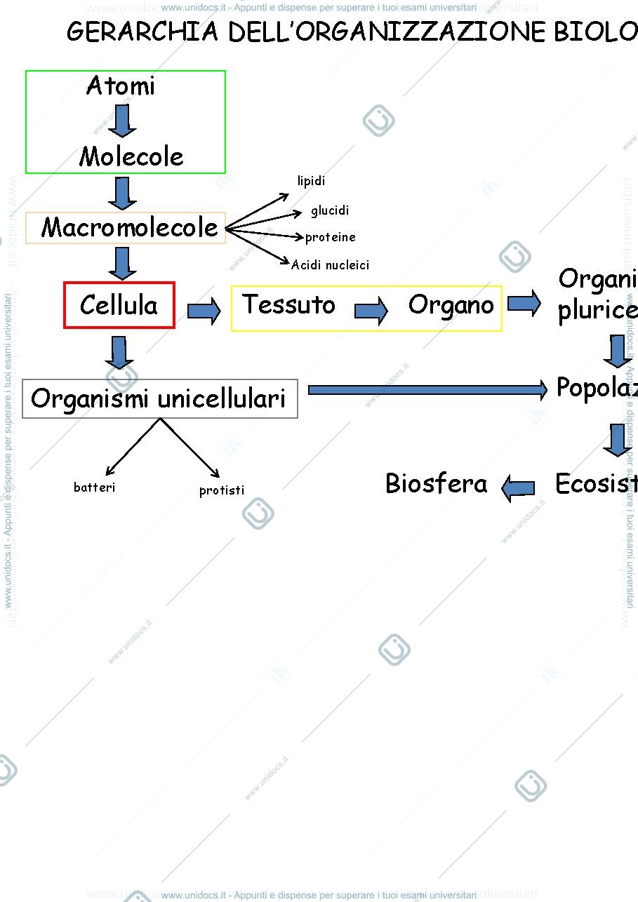 Anteprima pagina 3 — biologia 1 anno