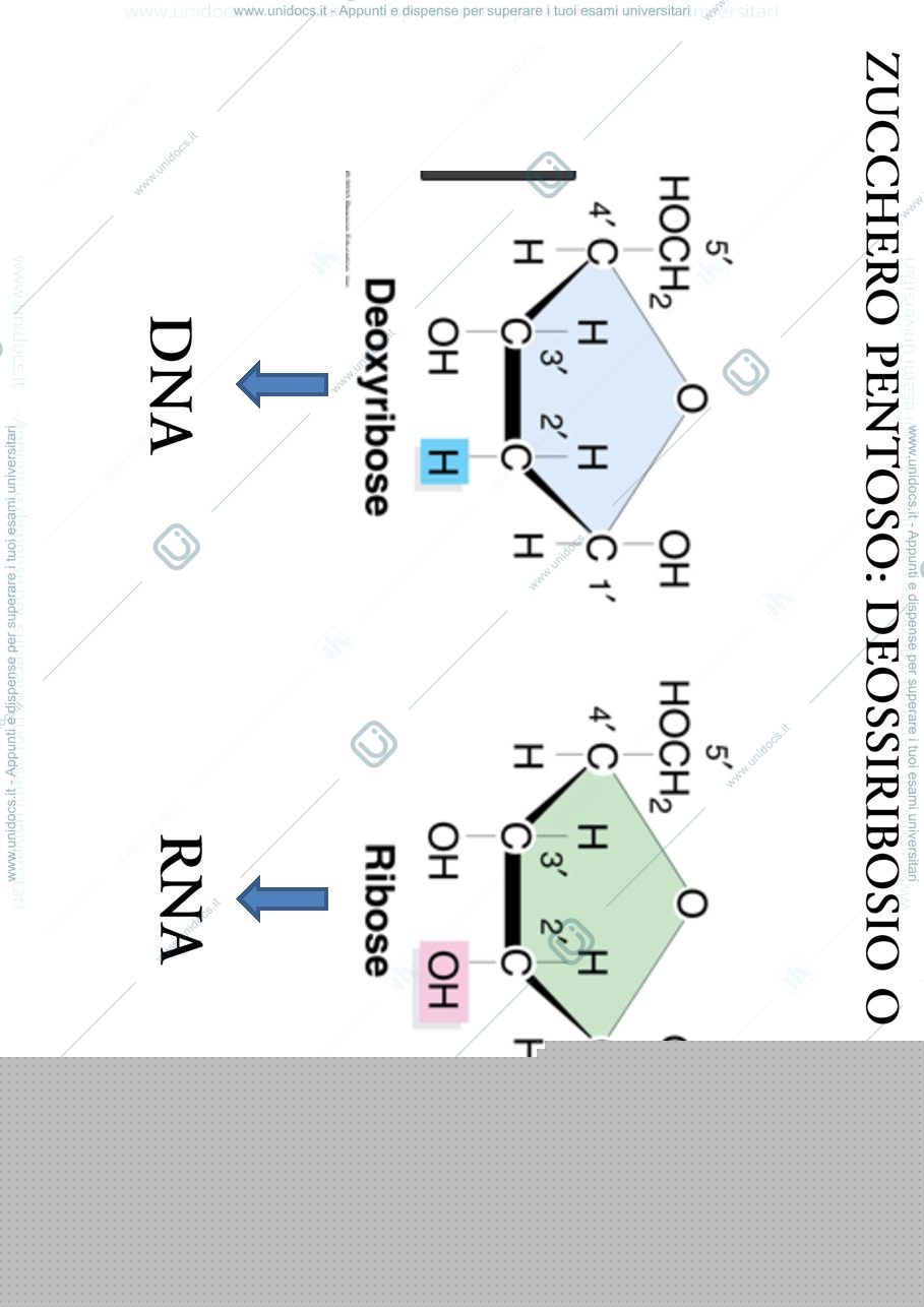 Anteprima pagina 3 — biologia 1 anno