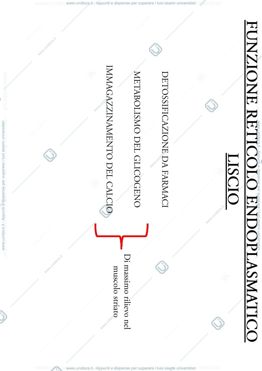 Anteprima pagina 2 — biologia 1 anno