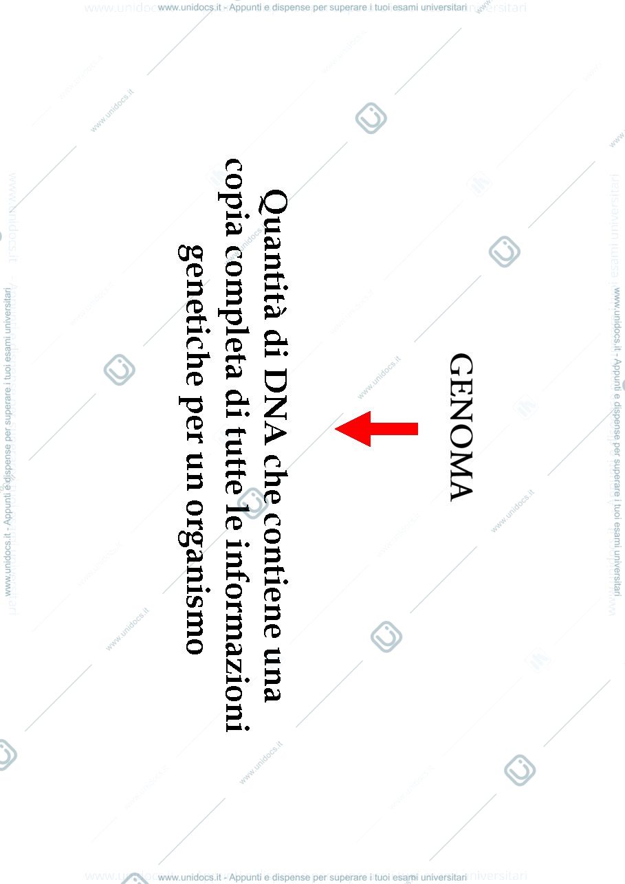 Anteprima pagina 1 — biologia 1 anno