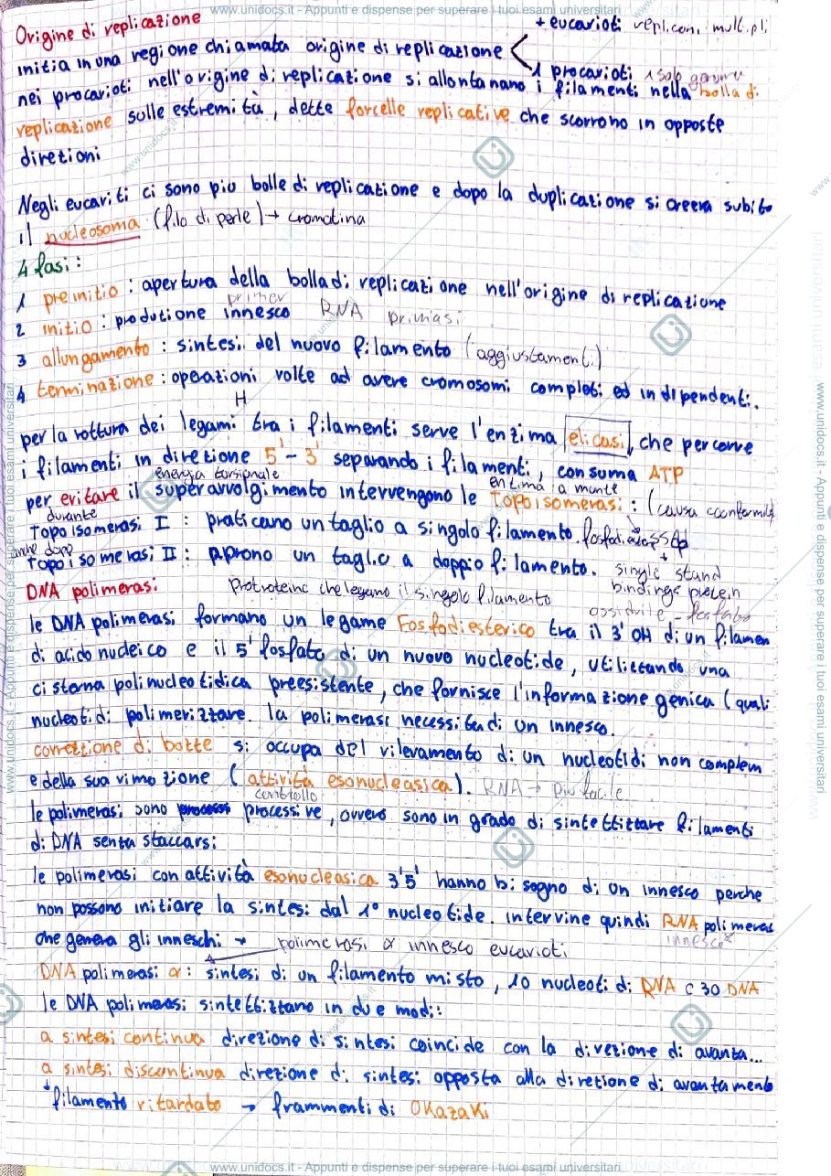 Anteprima pagina 2 — acidi nucleici 