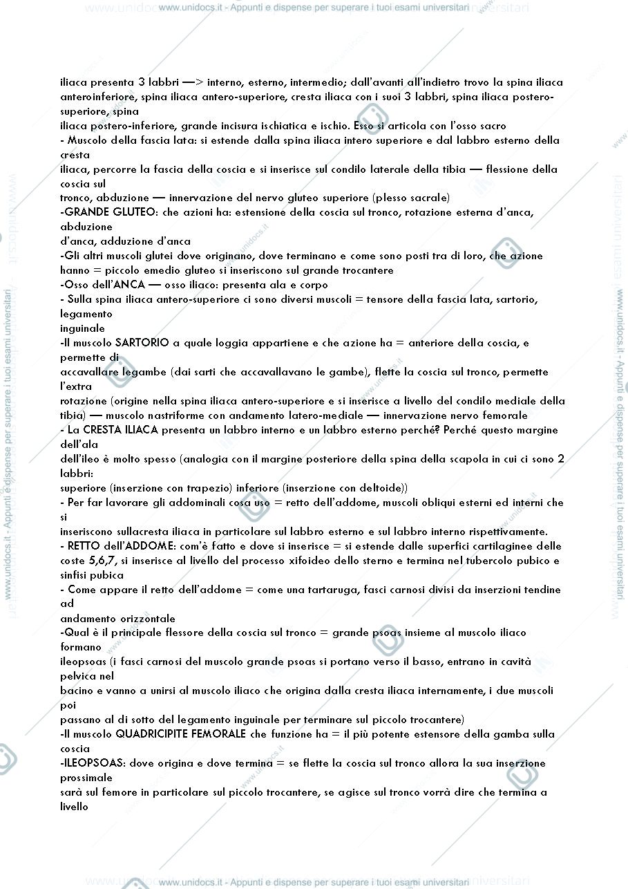 Anteprima pagina 3 — Domande d'esame anatomia 2