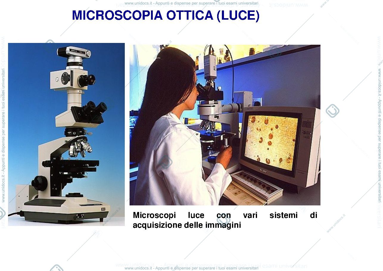 Anteprima pagina 3 — istologia