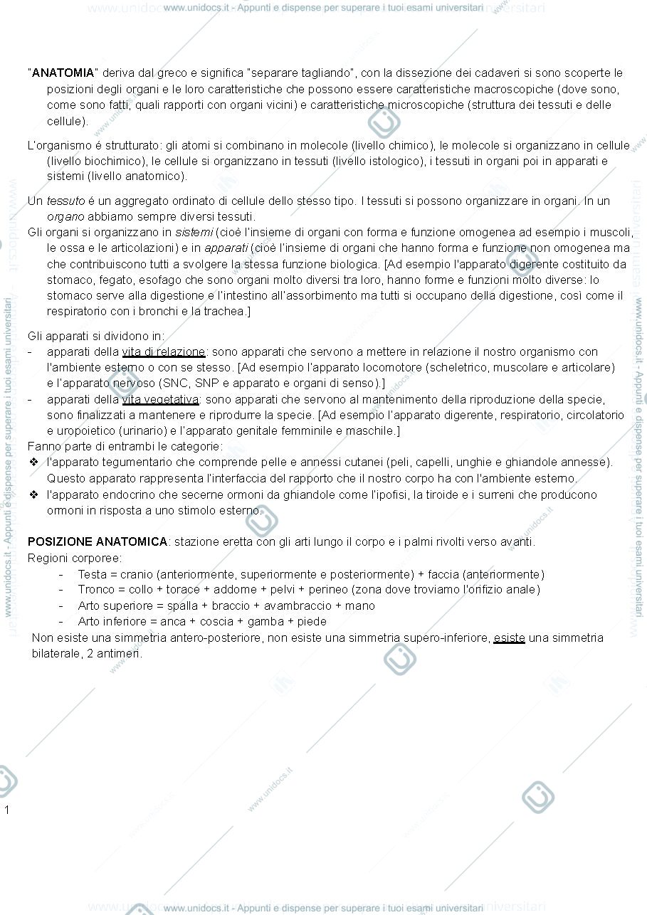 Anteprima pagina 1 — anatomia