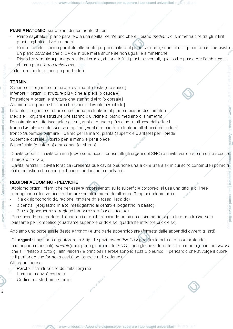 Anteprima pagina 2 — anatomia