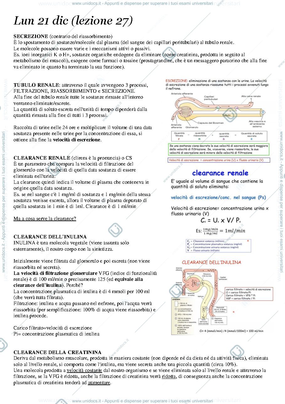 Anteprima pagina 1 — Appunti di fisiologia file escrezione 