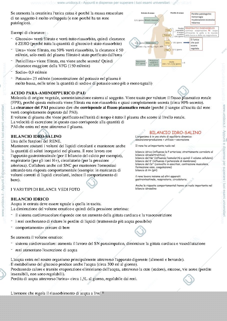 Anteprima pagina 2 — Appunti di fisiologia file escrezione 
