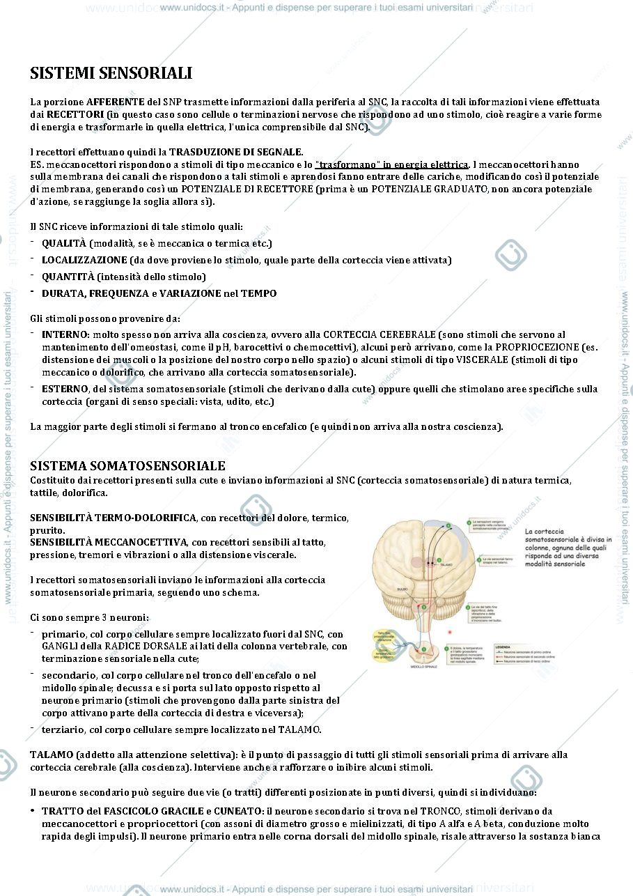 Anteprima pagina 1 — Appunti fisiologia sistemi sensoriali 