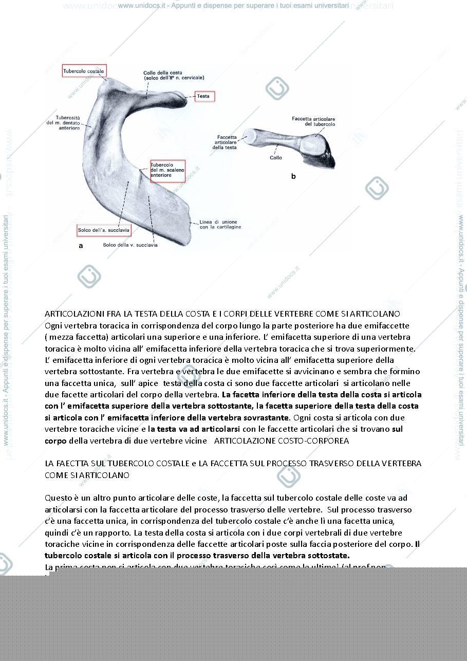 Anteprima pagina 2 — coste 