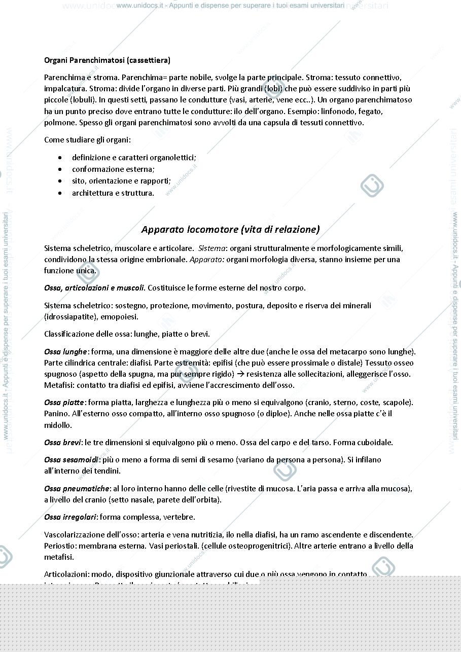 Anteprima pagina 1 — Istologia